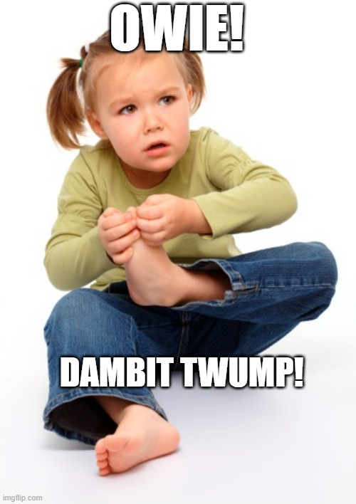 Blame Trump | OWIE! DAMBIT TWUMP! | image tagged in trump,donald trump,tds | made w/ Imgflip meme maker
