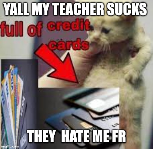 cat full of credit cards | YALL MY TEACHER SUCKS; THEY  HATE ME FR | image tagged in cat full of credit cards | made w/ Imgflip meme maker