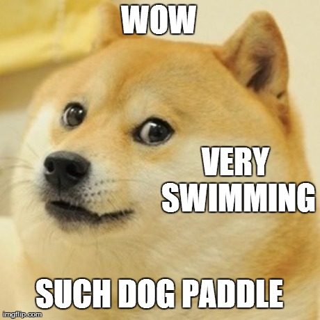 Doge Meme | WOW SUCH DOG PADDLE VERY SWIMMING | image tagged in memes,doge | made w/ Imgflip meme maker