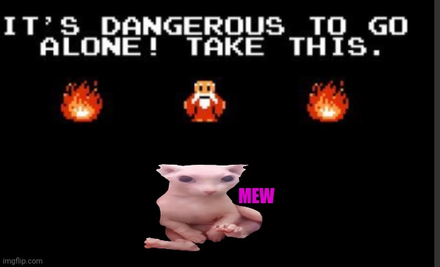 It's too dangerous to go alone take this | MEW | image tagged in it's too dangerous to go alone take this,bingus,cats,legend of zelda | made w/ Imgflip meme maker