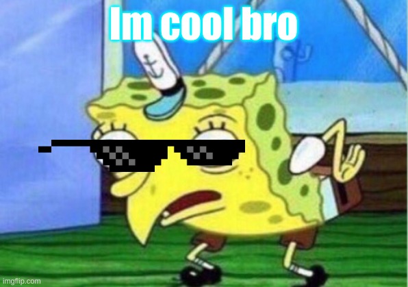 Mocking Spongebob | Im cool bro | image tagged in memes,mocking spongebob | made w/ Imgflip meme maker