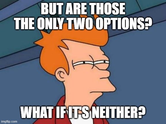 Futurama Fry Meme | BUT ARE THOSE THE ONLY TWO OPTIONS? WHAT IF IT'S NEITHER? | image tagged in memes,futurama fry | made w/ Imgflip meme maker