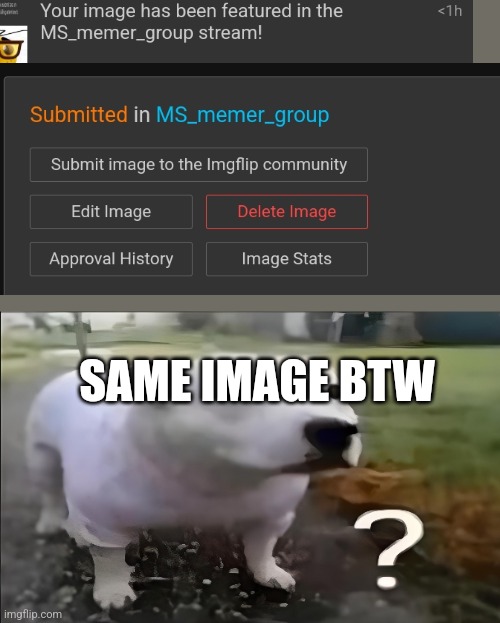Huh Dog | SAME IMAGE BTW | image tagged in huh dog | made w/ Imgflip meme maker