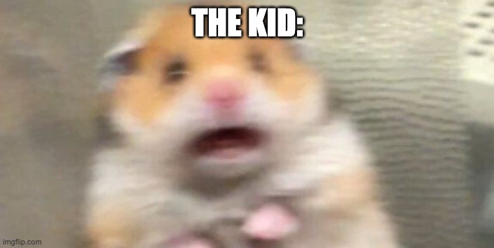Screaming Hampster | THE KID: | image tagged in screaming hampster | made w/ Imgflip meme maker