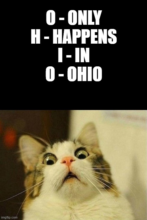 FUUUUUUUUUUUUUUUUUUUUUUUUUUUUUUUUUUUUUUUUUUUUUUUUUUUUUUUUUUUUUUUUUUUUUUUUUUUUUUUUUUUUUUUUUUUUUUUUUUUUUUUUUUUUUUUUUUUUUUUUUUUUUUU | O - ONLY
H - HAPPENS
I - IN
O - OHIO | image tagged in memes,scared cat | made w/ Imgflip meme maker