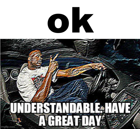 UNDERSTANDABLE, HAVE A GREAT DAY | ok | image tagged in understandable have a great day | made w/ Imgflip meme maker