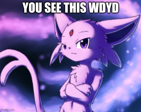 espeon | YOU SEE THIS WDYD | image tagged in espeon | made w/ Imgflip meme maker