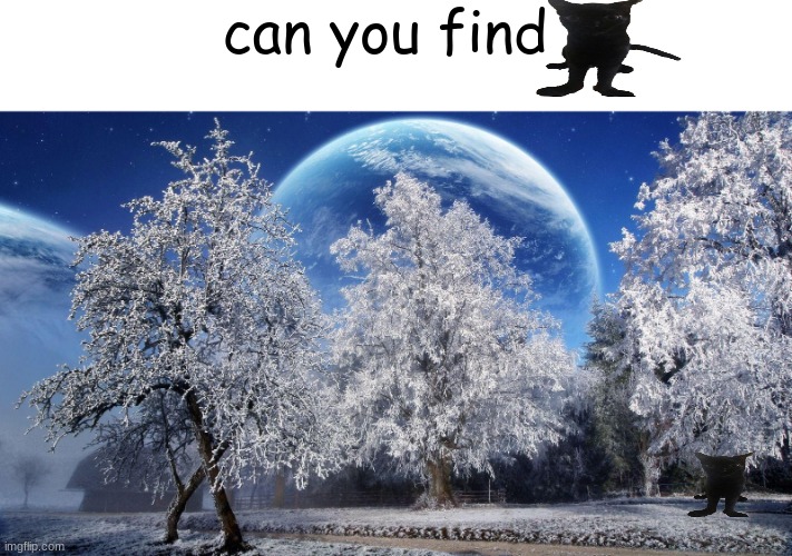 can you find him? | can you find | image tagged in jinx,jinx the cat,can you find,can you find meme | made w/ Imgflip meme maker