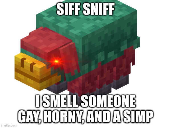 sniffer | SIFF SNIFF; I SMELL SOMEONE GAY, HORNY, AND A SIMP | image tagged in minecraft,memes | made w/ Imgflip meme maker