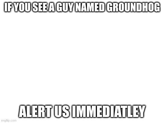 We protect. We exterminate! | IF YOU SEE A GUY NAMED GROUNDHOG; ALERT US IMMEDIATLEY | image tagged in blank white template | made w/ Imgflip meme maker