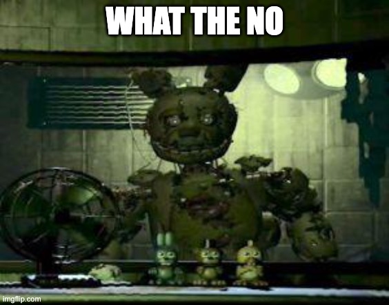 FNAF Springtrap in window | WHAT THE NO | image tagged in fnaf springtrap in window | made w/ Imgflip meme maker