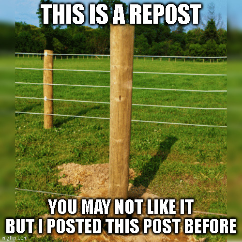 Repost | THIS IS A REPOST; YOU MAY NOT LIKE IT BUT I POSTED THIS POST BEFORE | image tagged in fence post | made w/ Imgflip meme maker