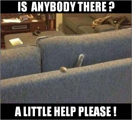 Cat Stuck In The Sofa Again ! | IS  ANYBODY THERE ? A LITTLE HELP PLEASE ! | image tagged in cats,sofa,stuck,help | made w/ Imgflip meme maker