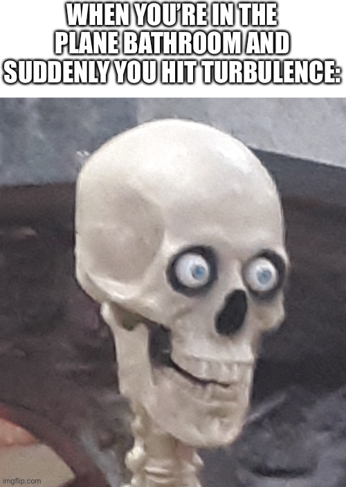Traumatized Skeleton | WHEN YOU’RE IN THE PLANE BATHROOM AND SUDDENLY YOU HIT TURBULENCE: | image tagged in traumatized skeleton,planes,oh no,oh god | made w/ Imgflip meme maker