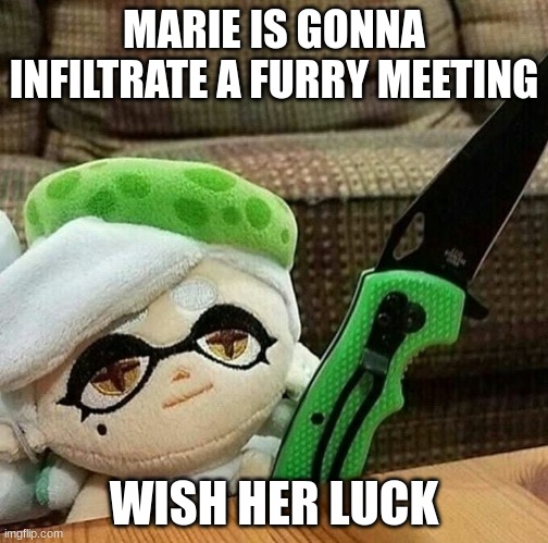 The furries shall not stay fresh | MARIE IS GONNA INFILTRATE A FURRY MEETING; WISH HER LUCK | image tagged in marie plush with a knife | made w/ Imgflip meme maker