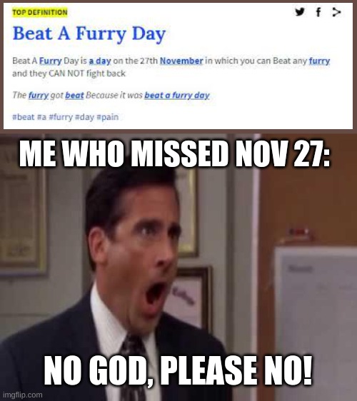 NOOOOOOOOOOOOOOOOOOOOOOOOO | ME WHO MISSED NOV 27:; NO GOD, PLEASE NO! | image tagged in no god no god please no,anti furry | made w/ Imgflip meme maker