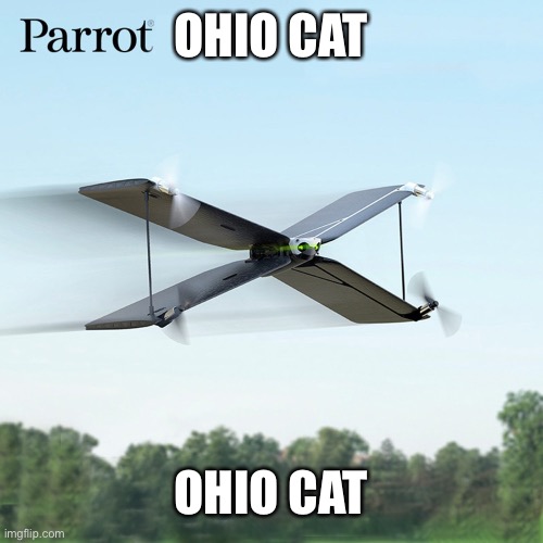 ㅤ | OHIO CAT OHIO CAT | made w/ Imgflip meme maker