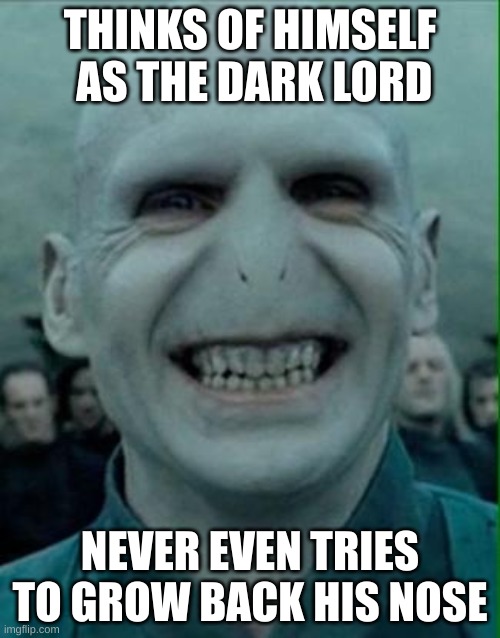 Voldemorts nose | THINKS OF HIMSELF  AS THE DARK LORD; NEVER EVEN TRIES TO GROW BACK HIS NOSE | image tagged in voldemort grin,funny | made w/ Imgflip meme maker