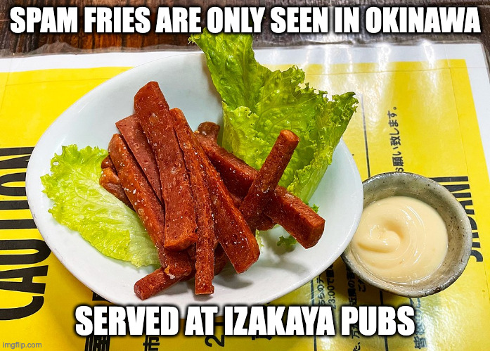 Spam Fries | SPAM FRIES ARE ONLY SEEN IN OKINAWA; SERVED AT IZAKAYA PUBS | image tagged in food,memes,spam | made w/ Imgflip meme maker