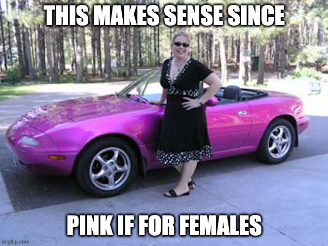 Pink BMW | THIS MAKES SENSE SINCE; PINK IF FOR FEMALES | image tagged in cars,pink,bmw,memes | made w/ Imgflip meme maker
