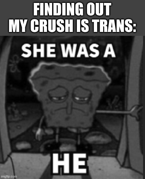 She was a he | FINDING OUT MY CRUSH IS TRANS: | image tagged in she was a he | made w/ Imgflip meme maker