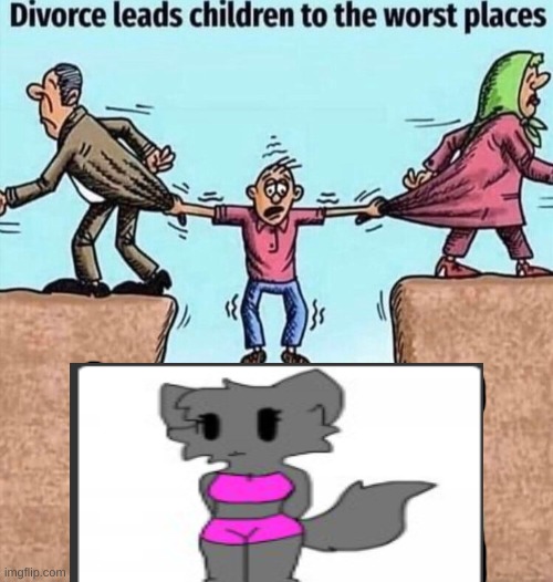 Divorce leads children to the worst places | image tagged in divorce leads children to the worst places | made w/ Imgflip meme maker