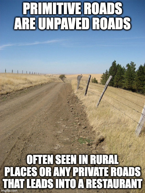 Primitive Road | PRIMITIVE ROADS ARE UNPAVED ROADS; OFTEN SEEN IN RURAL PLACES OR ANY PRIVATE ROADS THAT LEADS INTO A RESTAURANT | image tagged in road,memes | made w/ Imgflip meme maker