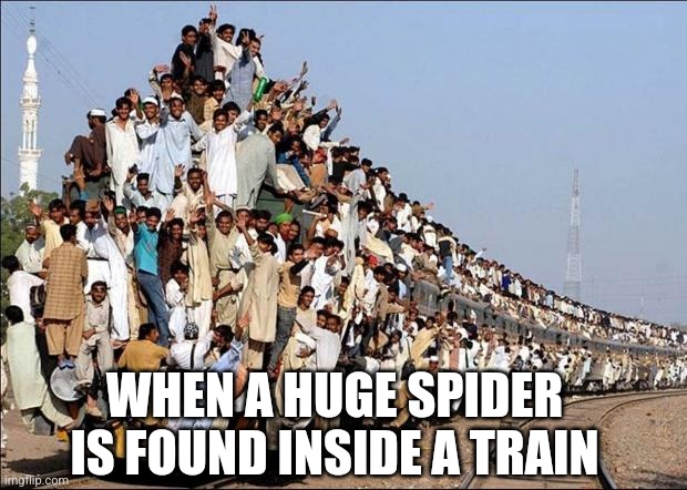 When can humans and spiders become friends? I vote never. |  WHEN A HUGE SPIDER IS FOUND INSIDE A TRAIN | image tagged in indian train,spiders,people,fear,overly attached girlfriend,life | made w/ Imgflip meme maker