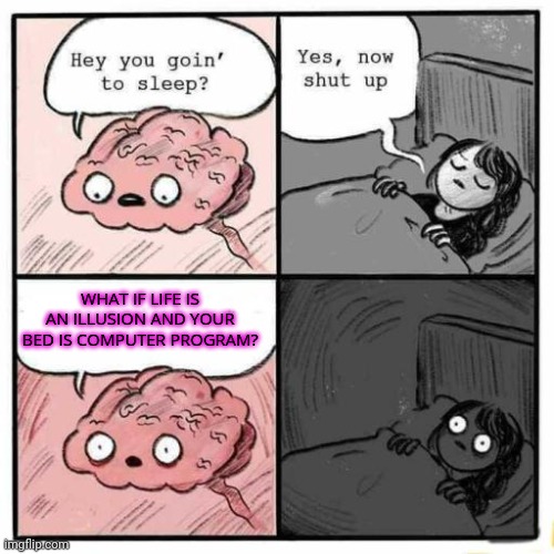 Hey you going to sleep? | WHAT IF LIFE IS AN ILLUSION AND YOUR BED IS COMPUTER PROGRAM? | image tagged in hey you going to sleep,the meaning of life,brain cells | made w/ Imgflip meme maker