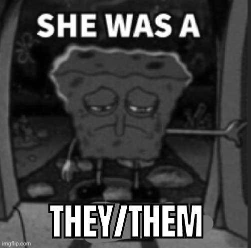 She was a he | THEY/THEM | image tagged in she was a he | made w/ Imgflip meme maker