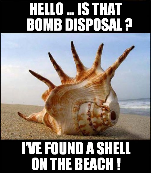 Could Be A Prank Call ? | HELLO ... IS THAT
   BOMB DISPOSAL ? I'VE FOUND A SHELL
ON THE BEACH ! | image tagged in prank call,bomb disposal,beach,front page | made w/ Imgflip meme maker