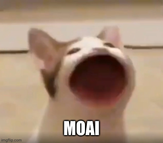 wide mouth cat | MOAI | image tagged in wide mouth cat | made w/ Imgflip meme maker