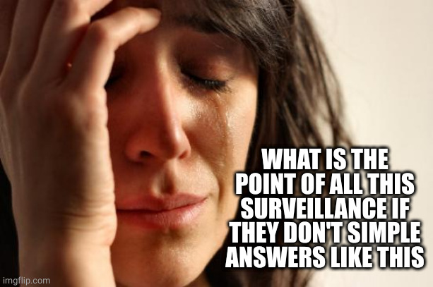 First World Problems Meme | WHAT IS THE POINT OF ALL THIS SURVEILLANCE IF THEY DON'T SIMPLE ANSWERS LIKE THIS | image tagged in memes,first world problems | made w/ Imgflip meme maker