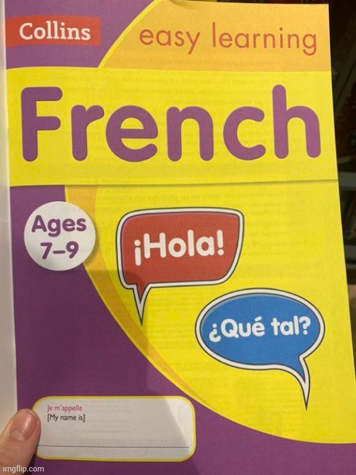Ah,yes. French | image tagged in french,you had one job | made w/ Imgflip meme maker