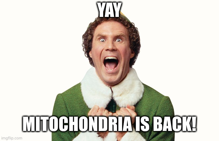 Buddy the elf excited | YAY MITOCHONDRIA IS BACK! | image tagged in buddy the elf excited | made w/ Imgflip meme maker