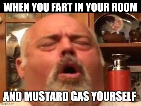pov you just ate taco bell |  WHEN YOU FART IN YOUR ROOM; AND MUSTARD GAS YOURSELF | image tagged in fart jokes | made w/ Imgflip meme maker