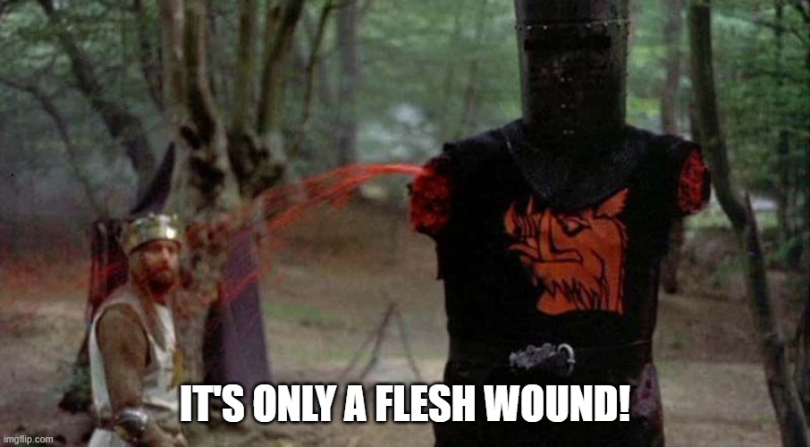 The Black Knight-Monty Python | IT'S ONLY A FLESH WOUND! | image tagged in the black knight,monty python,only a flesh wound | made w/ Imgflip meme maker
