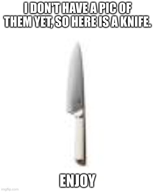 New oc called Skinwalker coming sooooooooooooooooooooon | I DON'T HAVE A PIC OF THEM YET, SO HERE IS A KNIFE. ENJOY | made w/ Imgflip meme maker