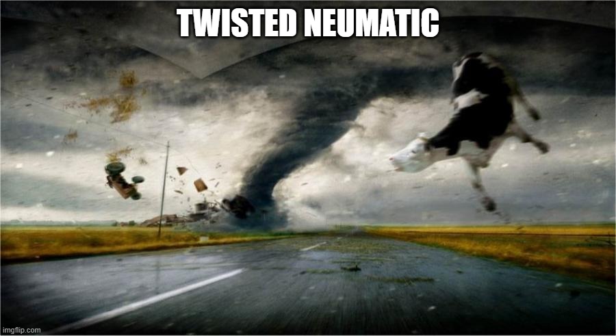 Twisted Neumatic | TWISTED NEUMATIC | image tagged in twister | made w/ Imgflip meme maker
