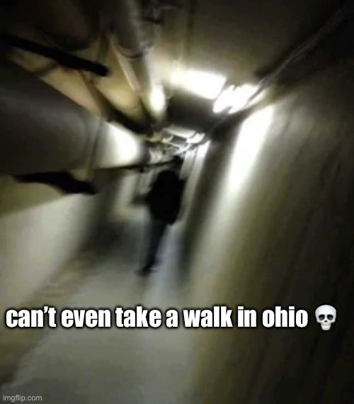 can’t do anything in ohio | can’t even take a walk in ohio 💀 | image tagged in shadow man chasing | made w/ Imgflip meme maker