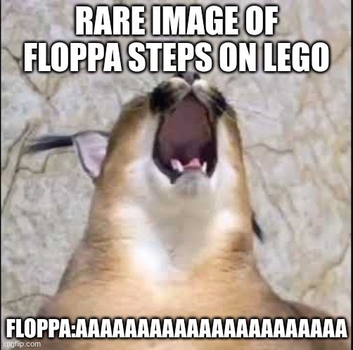 floppa steps on lego | RARE IMAGE OF FLOPPA STEPS ON LEGO; FLOPPA:AAAAAAAAAAAAAAAAAAAAAA | image tagged in floppa screaming,funny | made w/ Imgflip meme maker