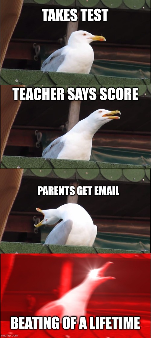 Inhaling Seagull | TAKES TEST; TEACHER SAYS SCORE; PARENTS GET EMAIL; BEATING OF A LIFETIME | image tagged in memes,inhaling seagull | made w/ Imgflip meme maker