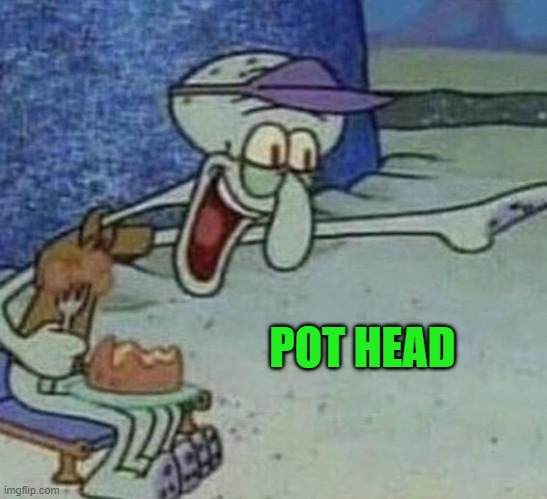 POT HEAD | image tagged in non pro user | made w/ Imgflip meme maker