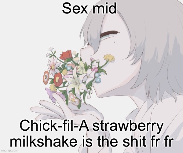 Avogado6 | Sex mid; Chick-fil-A strawberry milkshake is the shit fr fr | image tagged in avogado6 | made w/ Imgflip meme maker