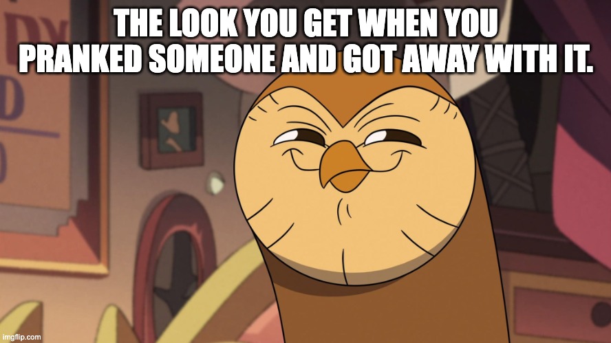 hooty | THE LOOK YOU GET WHEN YOU PRANKED SOMEONE AND GOT AWAY WITH IT. | image tagged in hooty smirks | made w/ Imgflip meme maker