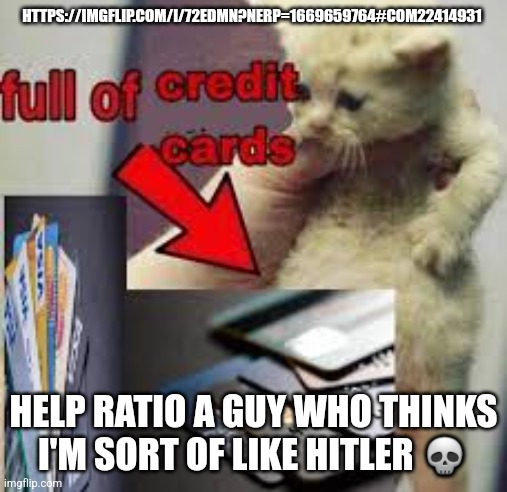 cat full of credit cards | HTTPS://IMGFLIP.COM/I/72EDMN?NERP=1669659764#COM22414931; HELP RATIO A GUY WHO THINKS I'M SORT OF LIKE HITLER 💀 | image tagged in cat full of credit cards | made w/ Imgflip meme maker
