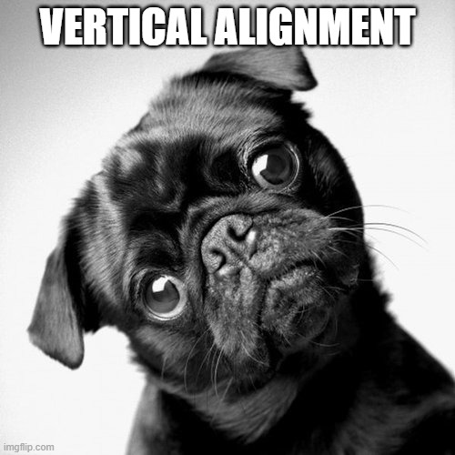 Vertical Alignment | VERTICAL ALIGNMENT | image tagged in pug-head-tilt | made w/ Imgflip meme maker