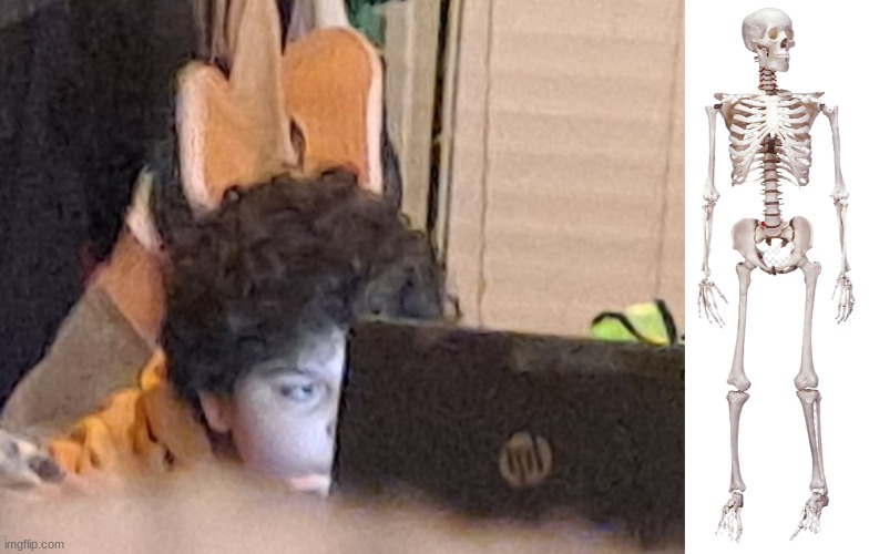 image tagged in carlos or something staring at a computer,human skeleton | made w/ Imgflip meme maker