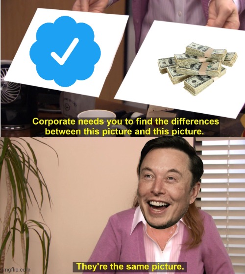 Elon | image tagged in memes,they're the same picture,twitter,elon musk,money | made w/ Imgflip meme maker