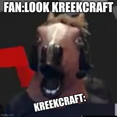 KreekCraft | FAN:LOOK KREEKCRAFT; KREEKCRAFT: | image tagged in kreekcraft | made w/ Imgflip meme maker